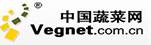 中国蔬菜网