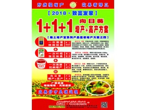 2018致富发家1...