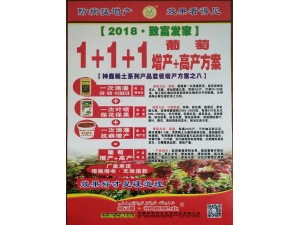 2018致富发家1...